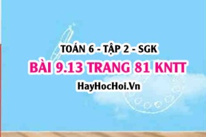 Bài 9.13 trang 81 Toán 6 Tập 2 Kết nối tri thức